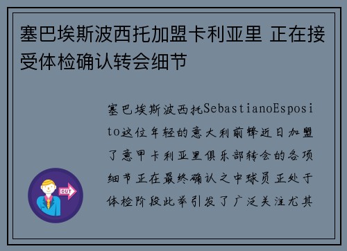 塞巴埃斯波西托加盟卡利亚里 正在接受体检确认转会细节